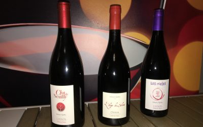 Trois vins d’exception et de fêtes. Vous appréciez les Chinons ?